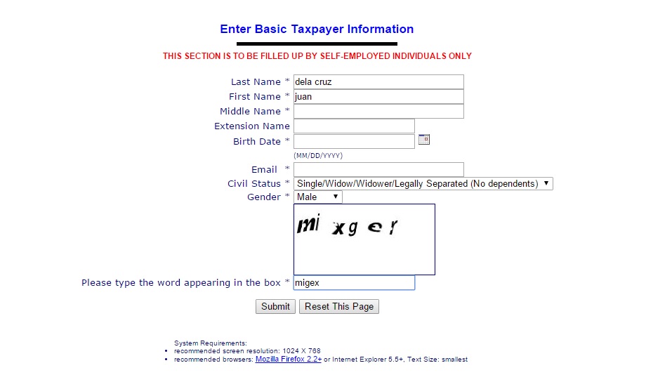 How to Get Tax Identification Number Online Thru BIR eReg System