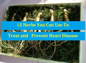 Treat and Prevent Heart Disease
