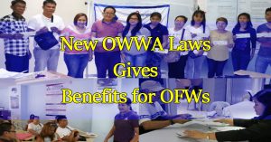 OWWA Laws