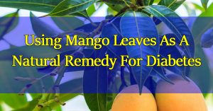 Using-Mango-Leaves-As-A-Natural-Remedy-For-Diabetes